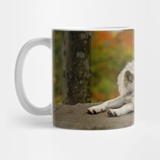 Timber Wolf Mug